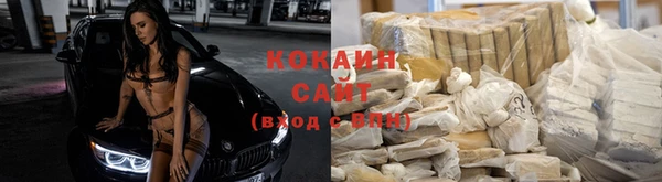 хмурый Кодинск