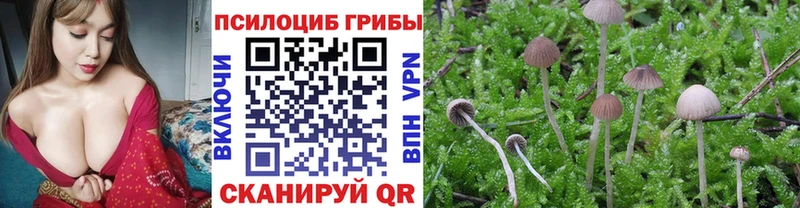 Галлюциногенные грибы мицелий  Макарьев 