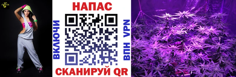 Бошки Шишки ГИДРОПОН  гидра как зайти  Макарьев 